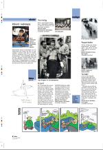 aftenbladet_pluss-20061103_000_00_00_004.pdf