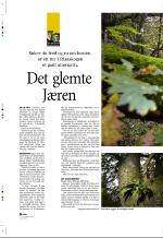 aftenbladet_pluss-20061110_000_00_00_034.pdf