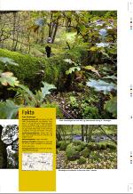 aftenbladet_pluss-20061110_000_00_00_035.pdf