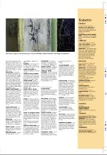 aftenbladet_pluss-20061110_000_00_00_041.pdf