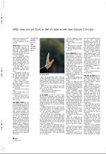 aftenbladet_pluss-20061222_000_00_00_018.pdf