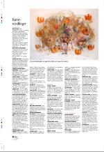 aftenbladet_pluss-20070105_000_00_00_032.pdf