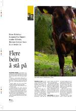 aftenbladet_pluss-20070112_000_00_00_026.pdf