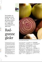 aftenbladet_pluss-20070112_000_00_00_028.pdf