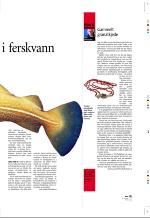 aftenbladet_pluss-20070209_000_00_00_023.pdf