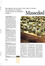 aftenbladet_pluss-20070413_000_00_00_006.pdf