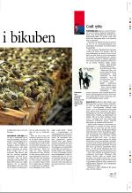 aftenbladet_pluss-20070413_000_00_00_007.pdf