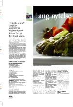 aftenbladet_pluss-20070427_000_00_00_032.pdf