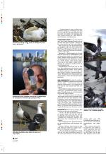 aftenbladet_pluss-20070504_000_00_00_016.pdf
