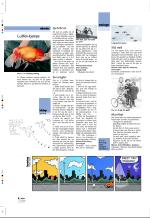 aftenbladet_pluss-20070518_000_00_00_004.pdf