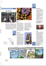 aftenbladet_pluss-20070629_000_00_00_004.pdf