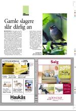 aftenbladet_pluss-20070713_000_00_00_003.pdf