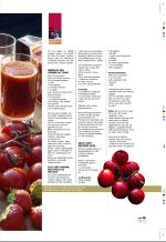 aftenbladet_pluss-20070727_000_00_00_029.pdf