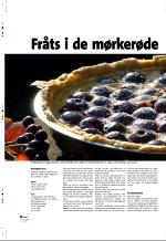 aftenbladet_pluss-20070803_000_00_00_028.pdf
