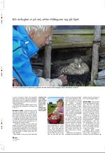 aftenbladet_pluss-20070810_000_00_00_012.pdf