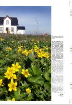 aftenbladet_pluss-20070810_000_00_00_015.pdf