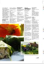 aftenbladet_pluss-20070810_000_00_00_029.pdf