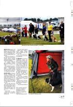 aftenbladet_pluss-20070824_000_00_00_013.pdf