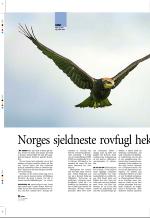aftenbladet_pluss-20070831_000_00_00_022.pdf