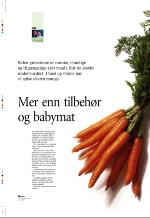 aftenbladet_pluss-20070914_000_00_00_040.pdf
