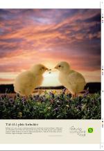 aftenbladet_pluss-20070928_000_00_00_035.pdf