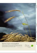 aftenbladet_pluss-20071005_000_00_00_029.pdf