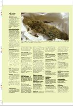 aftenbladet_pluss-20071116_000_00_00_040.pdf