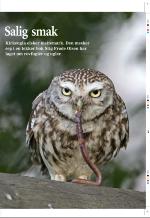 aftenbladet_pluss-20071130_000_00_00_027.pdf
