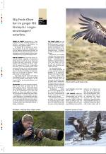 aftenbladet_pluss-20071130_000_00_00_028.pdf