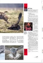 aftenbladet_pluss-20071130_000_00_00_029.pdf