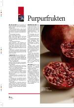 aftenbladet_pluss-20080111_000_00_00_026.pdf