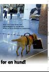 aftenbladet_pluss-20080201_000_00_00_013.pdf