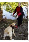 aftenbladet_pluss-20080201_000_00_00_017.pdf