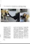 aftenbladet_pluss-20080201_000_00_00_018.pdf