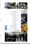 aftenbladet_pluss-20080215_000_00_00_002.pdf