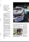 aftenbladet_pluss-20080215_000_00_00_014.pdf