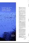 aftenbladet_pluss-20080215_000_00_00_029.pdf