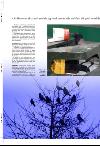 aftenbladet_pluss-20080215_000_00_00_030.pdf