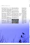 aftenbladet_pluss-20080215_000_00_00_031.pdf