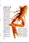 aftenbladet_pluss-20080222_000_00_00_032.pdf