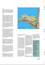 aftenbladet_pluss-20080314_000_00_00_013.pdf