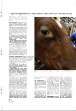 aftenbladet_pluss-20080418_000_00_00_020.pdf
