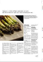 aftenbladet_pluss-20080425_000_00_00_030.pdf