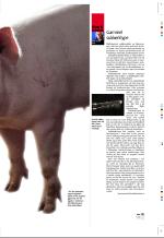 aftenbladet_pluss-20080509_000_00_00_023.pdf