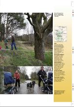 aftenbladet_pluss-20080530_000_00_00_035.pdf