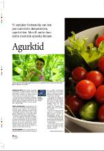 aftenbladet_pluss-20080613_000_00_00_030.pdf