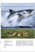 aftenbladet_pluss-20080620_000_00_00_020.pdf
