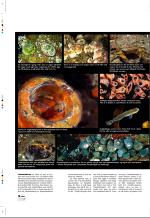aftenbladet_pluss-20080627_000_00_00_010.pdf