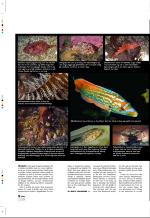aftenbladet_pluss-20080704_000_00_00_010.pdf