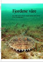 aftenbladet_pluss-20080711_000_00_00_008.pdf